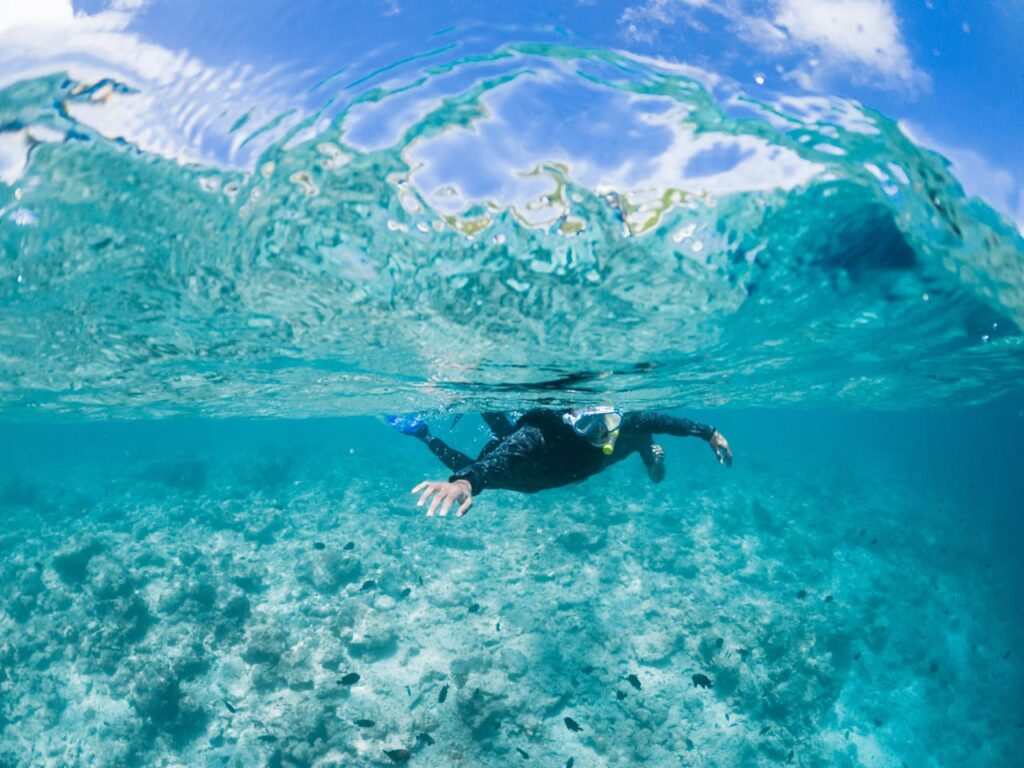 A split-level view of a person snorkeling, showing crawling reef and a clear blue sky above