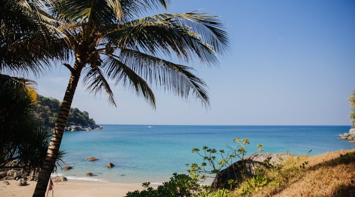 Phuket beach with coconut tree