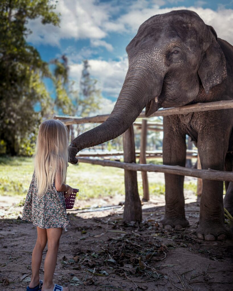 a girl with an elephant in Thailand